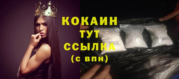 крисы Верея