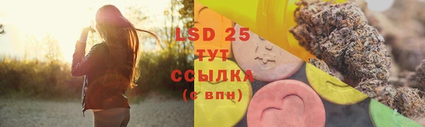 дживик Володарск