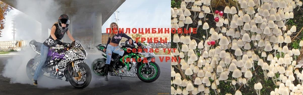 дживик Володарск