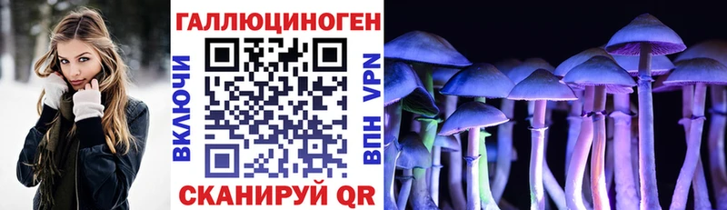 Галлюциногенные грибы прущие грибы  Купить  Спасск-Дальний 